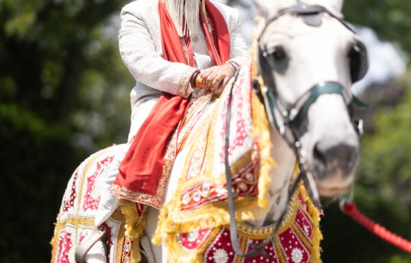 The wedding of A Fusion Wedding With Two Ceremonies and One Fun Reception Gallery 9