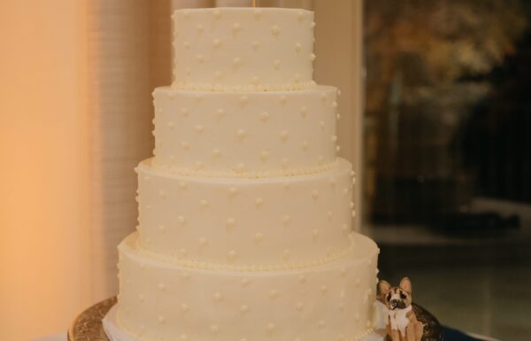 The wedding of Lakefront Views and the Couple’s French Bulldog Made This Day Special Gallery 1