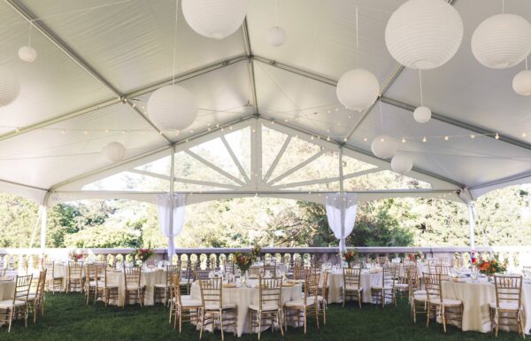 A Party Pleasing Rental Gallery 2