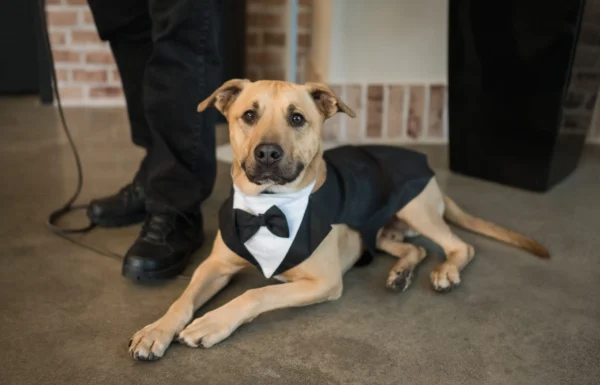 The wedding of Rustic Farm Meets Contemporary Flair at This Stunning Fall Wedding Gallery 2