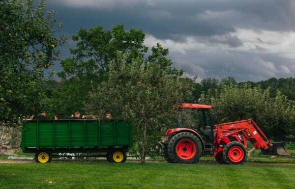 The wedding of A Modern Rustic Wedding Where the Guests Arrived By Tractor and Enjoyed a S’mores Bonfire Gallery 2