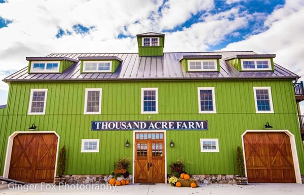 Thousand Acre Farm Gallery 32