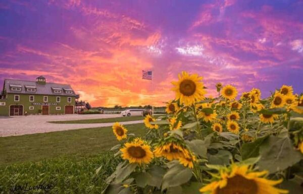 Thousand Acre Farm Gallery 36