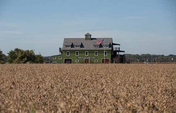 Thousand Acre Farm Gallery 41