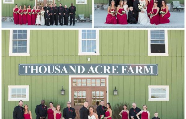 Thousand Acre Farm Gallery 45