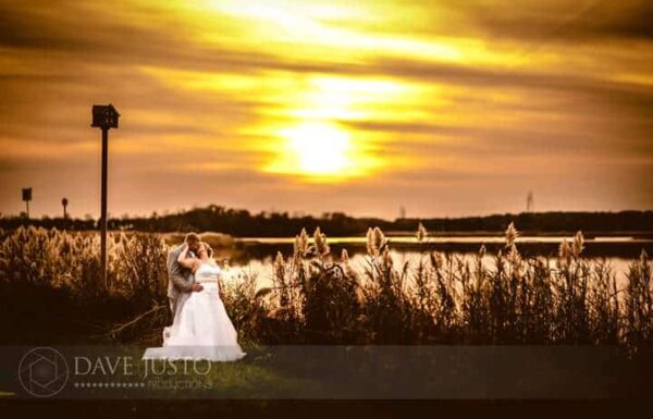 Thousand Acre Farm Gallery 48