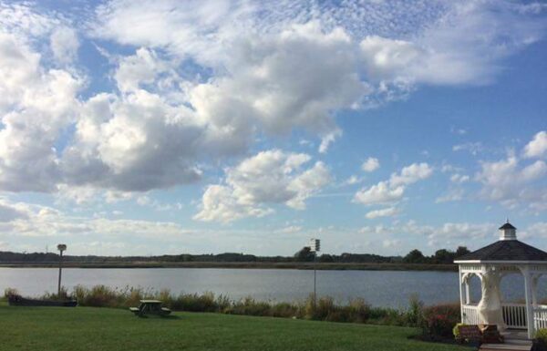 Thousand Acre Farm Gallery 51