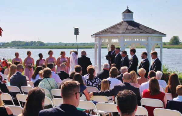 Thousand Acre Farm Gallery 18