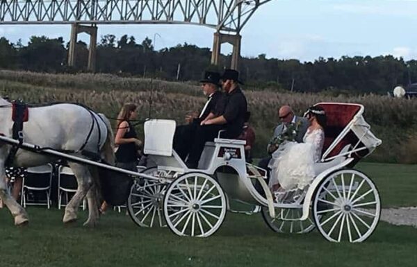 Thousand Acre Farm Gallery 20