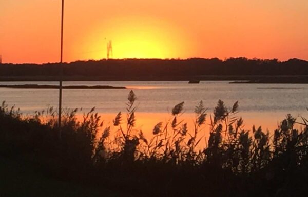 Thousand Acre Farm Gallery 21