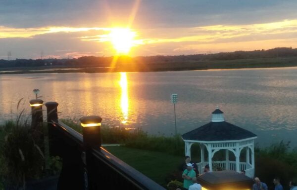 Thousand Acre Farm Gallery 25