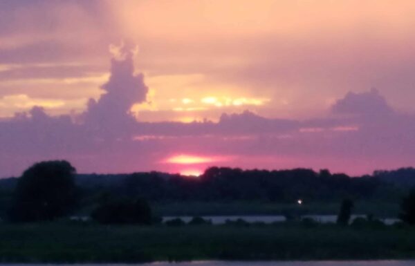 Thousand Acre Farm Gallery 27