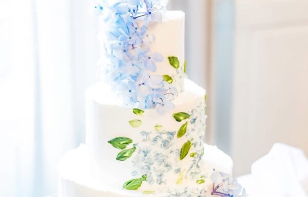 The wedding of This Couple Surprised Their Guests with a Zumba Routine Gallery 15