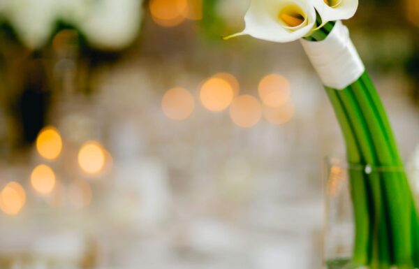 Rothweiler Event Design Gallery 7