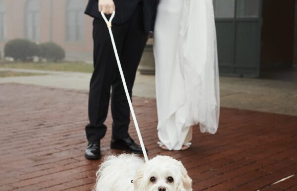 The wedding of A Chic New Year’s Eve Wedding in Jersey City Gallery 2