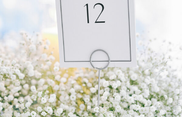The wedding of A Rooftop Wedding Overlooking the Ocean Gallery 5