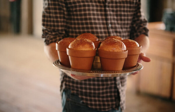 Terrain Gardens at DelVal Gallery 1