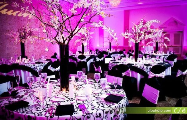 Ceremony and Reception Category Vendor PeterJamesEvents