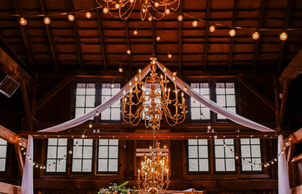 The Botanical Box Gallery 3