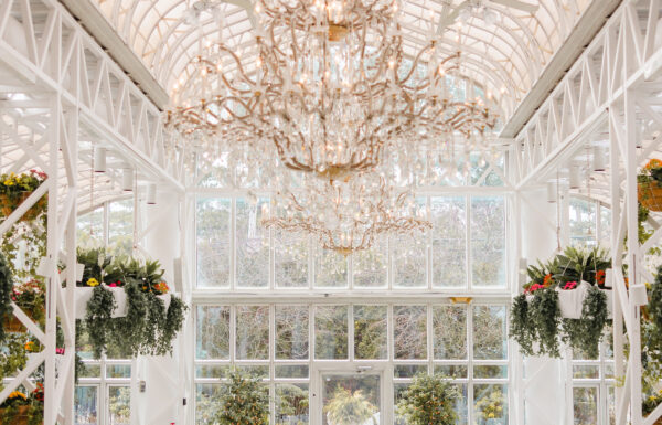 The wedding of This Madison Hotel Wedding Embraced the Freshness and Vibrancy of Spring Gallery 3