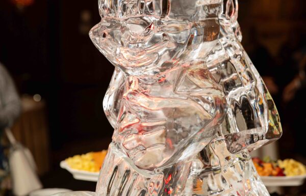 The wedding of Julianna & Matthew at The Birchwood Manor Gallery 1
