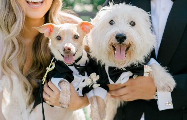 The wedding of Pink, Gold and Plenty of Style at This Renault Winery Wedding Gallery 0