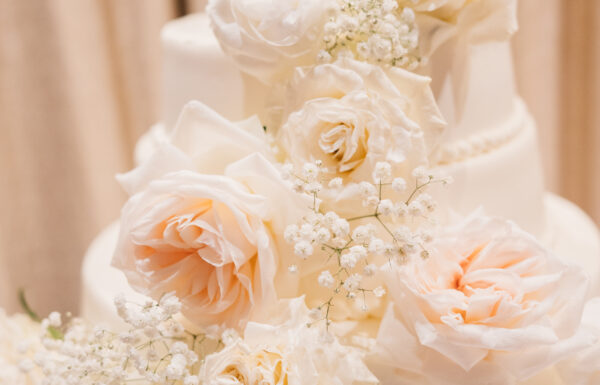 The wedding of Otto & Megan at Cathedral Basilica of the Sacred Heart & The Manor Gallery 7