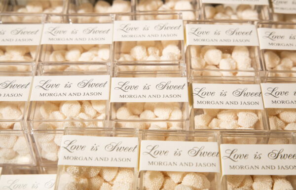 The wedding of A Glamorous Wedding With Their Daughters as Flower Girls Gallery 16