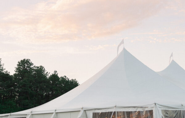 The wedding of A Magical Tented Wedding at Renault Winery Gallery 6