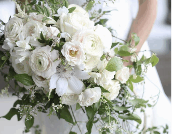 Flowers Listing Category Pink Dahlia Vintage Events