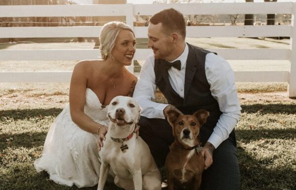 Smile ‘N’ Wag Gallery 4