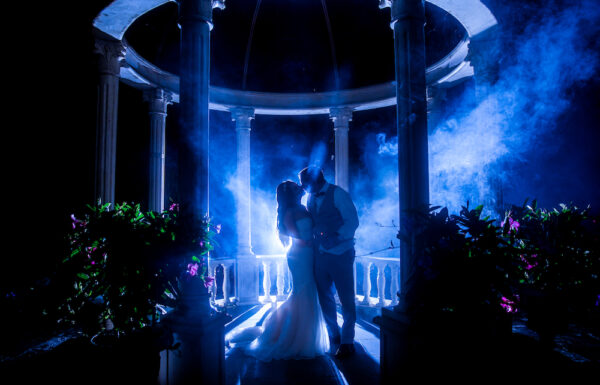 The Marigold Gallery 3