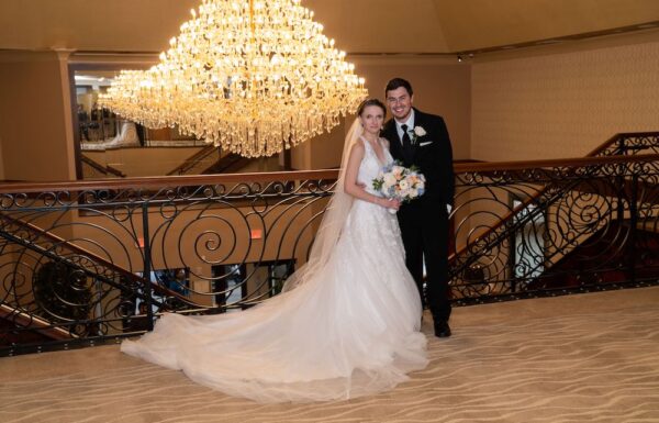 The Marigold Gallery 2