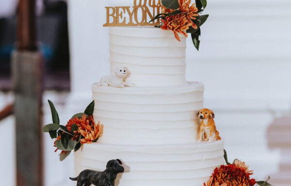 The wedding of Alexis & Michael at Hamilton Manor Gallery 22