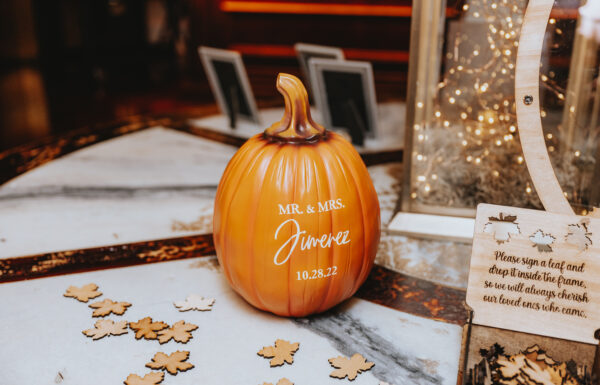 The wedding of Alexis & Michael at Hamilton Manor Gallery 24