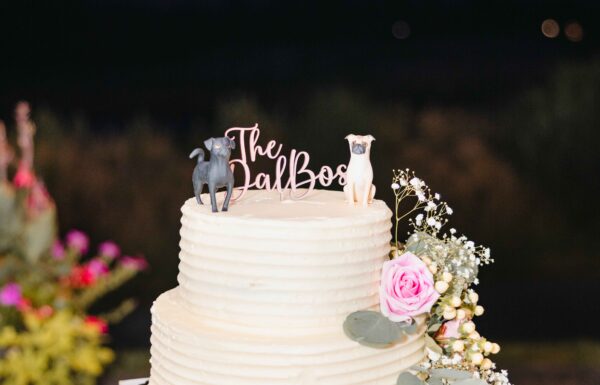 The wedding of A Surprise Hot-Air Balloon Appearance Made This Wedding One to Remember Gallery 2