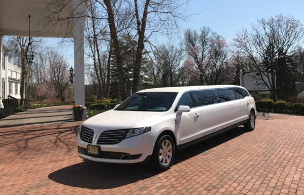 My Limo Gallery 0