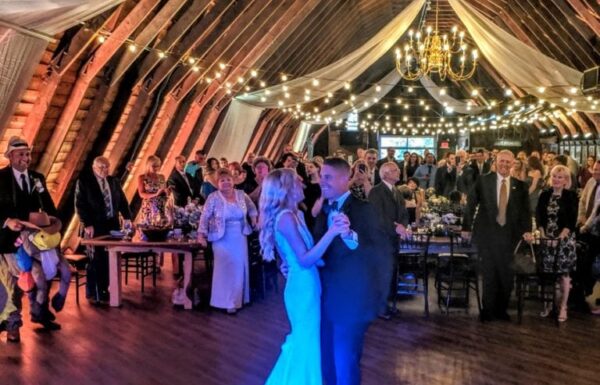 D’Amico Entertainment Gallery 0