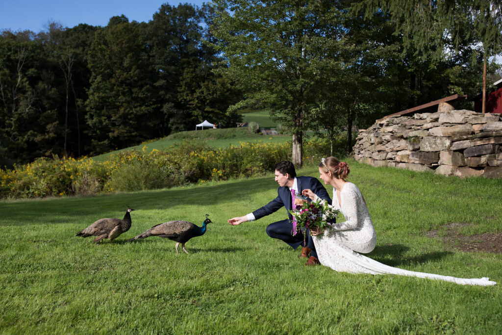 A wedding at Quarry Hill Farm.