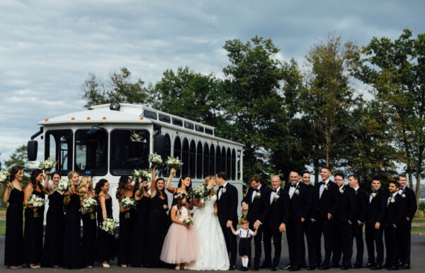 Transportation Category Vendor ShoobooTrolley