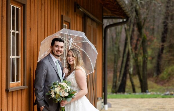 Brigalias Gallery 16