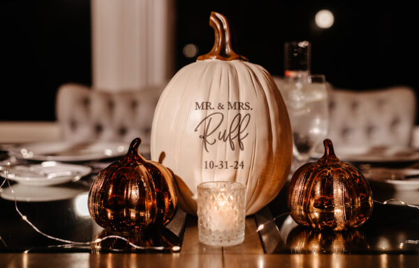 The wedding of A Halloween Wedding With Just the Right Amount of Spooky Flair Gallery 6