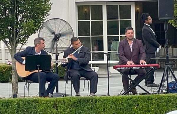 Cause and The Effects Gallery 4