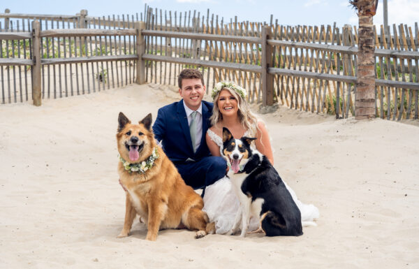 The wedding of Amanda & Bryan at The Sea Shell Resort & Beach Club Gallery 8