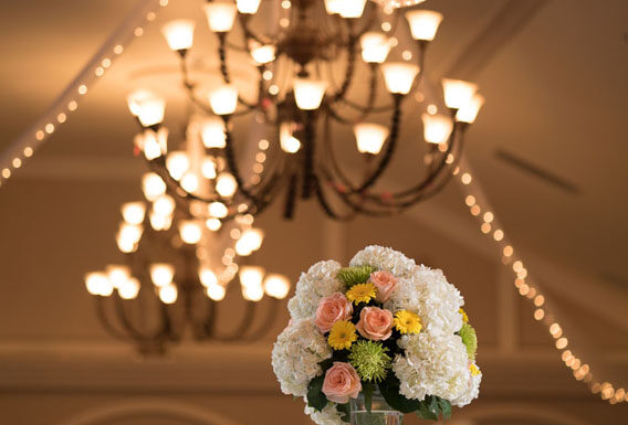 Costa Del Sol Gallery 4