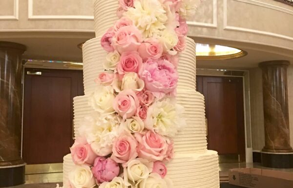 Polkadot Cake Shop Gallery 1