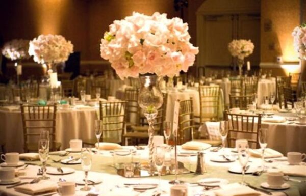 Sterling Party Rental Gallery 2