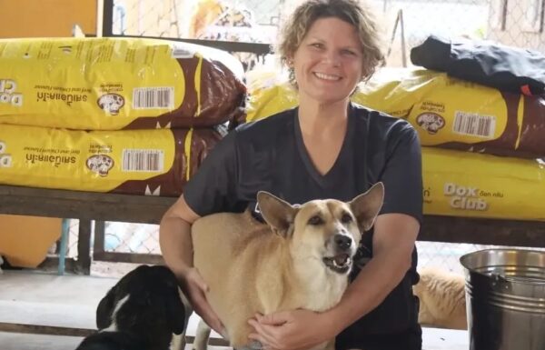 You Play, I Stay In-Home Overnight Pet Sitting Gallery 2