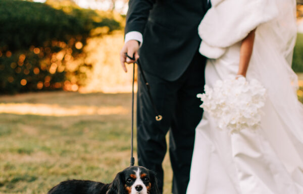 The wedding of A Cozy November Wedding with Blue and White Accents, Like Lamp Centerpieces Gallery 3