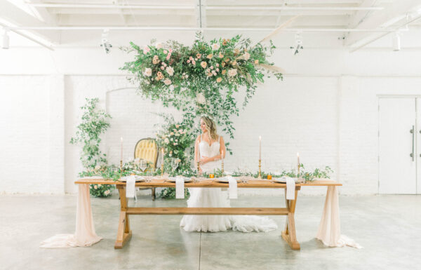 Cassandra Shah Flowers Gallery 2